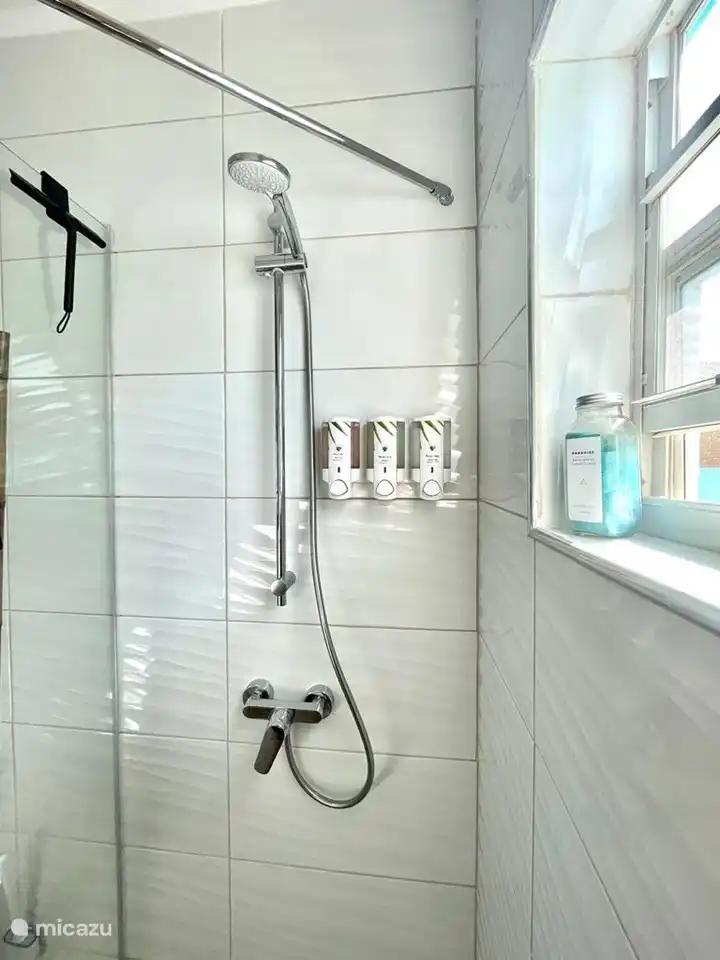 Lokale Aloë Vera Aruba producten zoals douchegel, shampoo en conditioner.