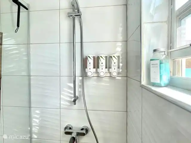 Casa Sunshine Aruba | Aruba, Oranjestad, Oranjestad - maison de vacances Produits locaux d'Aloe Vera Aruba tels que gel douche, shampoing et revitalisant.