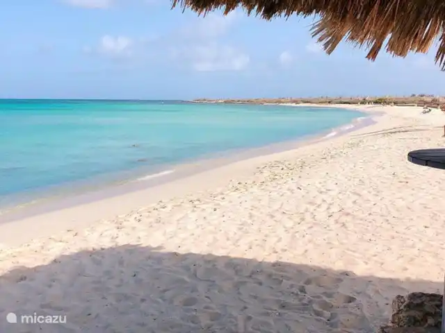 Casa Sunshine Aruba | Aruba, Oranjestad, Oranjestad - maison de vacances Plage d'Arashi au nord de l'île.