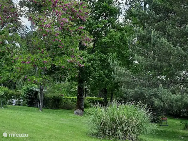 Maison Magnolia | France, Charente, Écuras - villa L'acacia rose