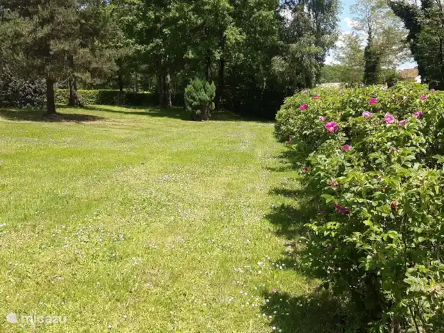 Maison Magnolia | France, Charente, Écuras - villa La haie de roses en fleurs