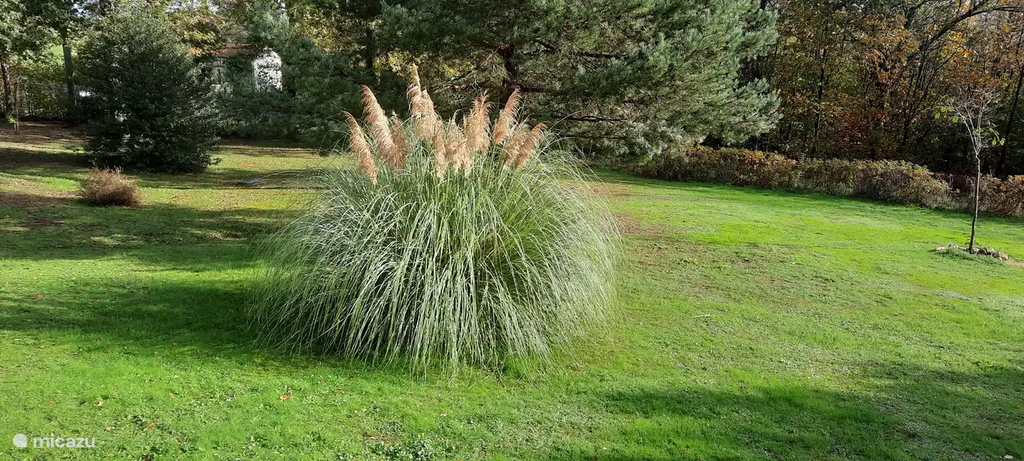 Die blühenden Federn