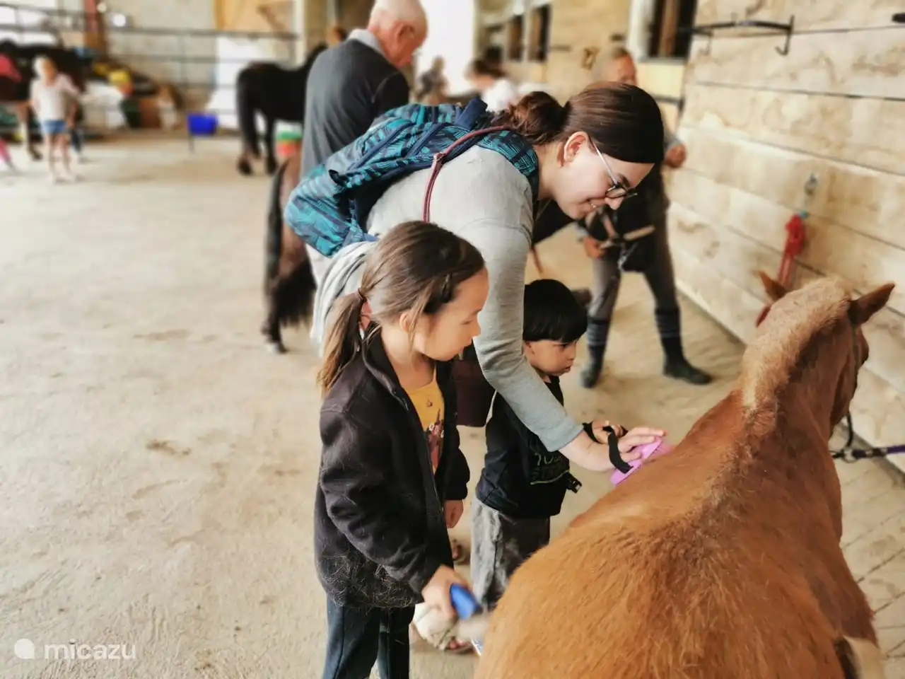 Pferdepflege in der Reitschule