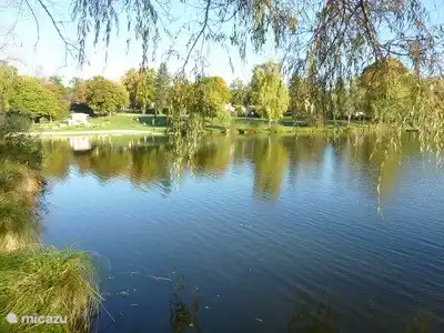 DER SEE IM PARK