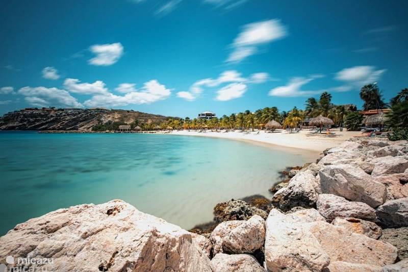 Ferienwohnung Curaçao, Curacao-Mitte, Blue Bay Appartement BlueBay | Tropische Oase