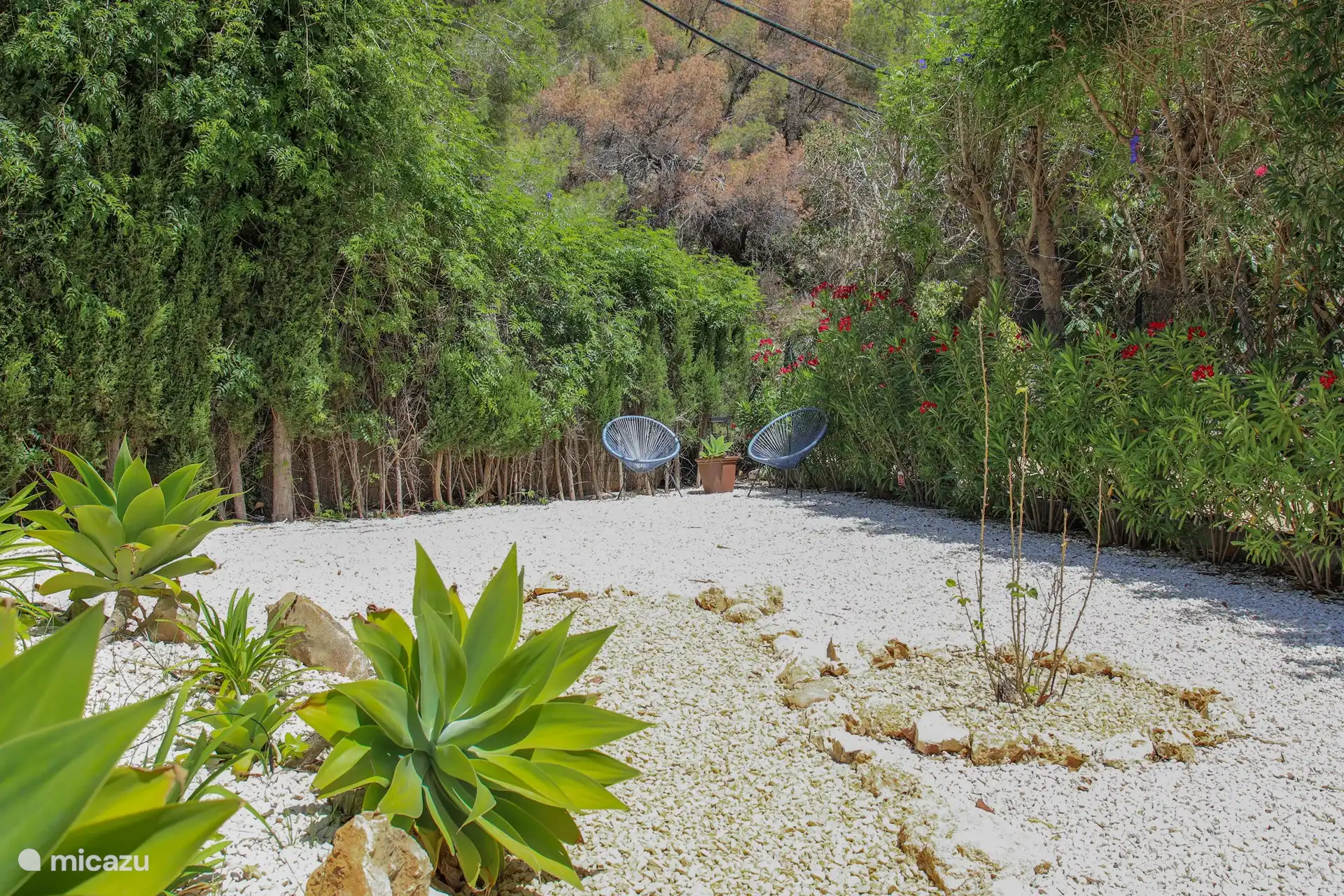 A nice seat in the garden