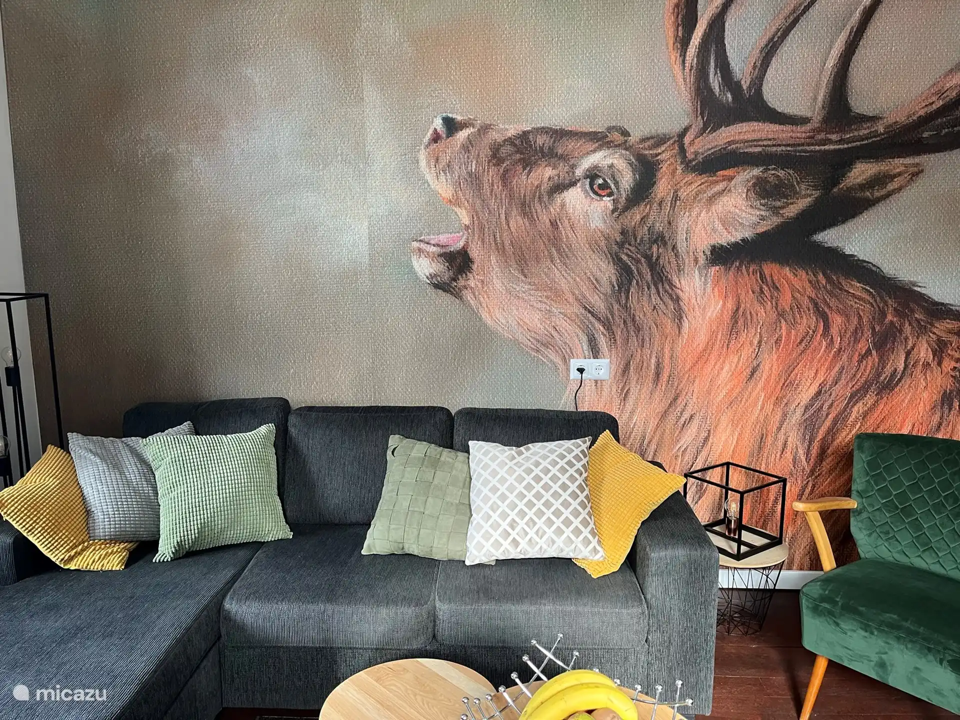 Foire de Ferienwohnung | Autriche, Carinthie, Mörtschach - Appartement