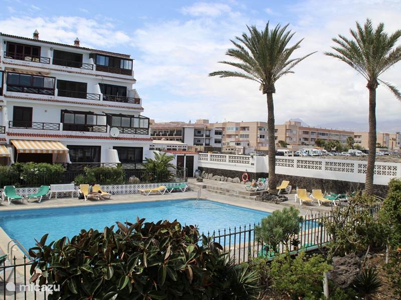 Vakantiehuis Spanje, Tenerife, Costa del Silencio Appartement Casa Amarilla