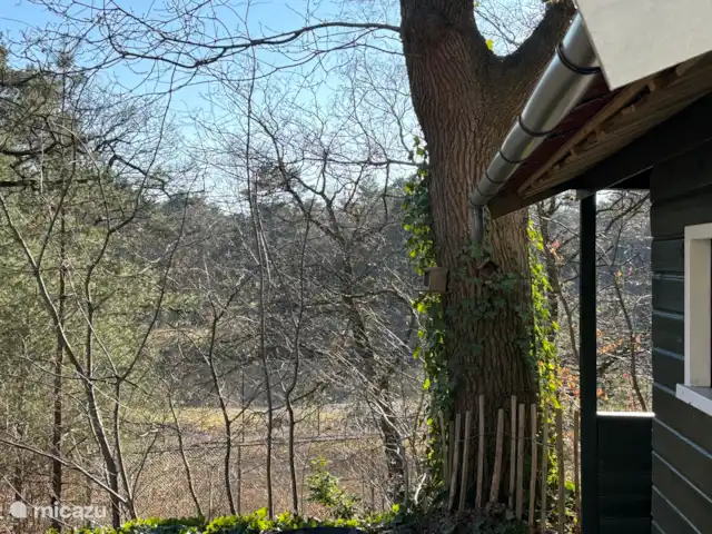 Location de Vacances Pays-Bas, Overijssel, IJhorst, maison de vacances - Les Montagnes Blanches 65