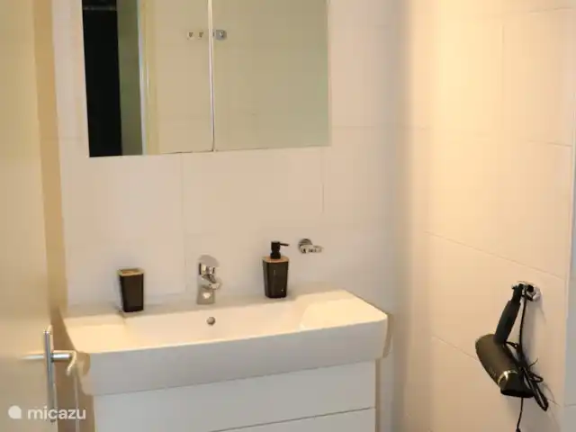 Location de Vacances Pays-Bas, Overijssel, IJhorst, maison de vacances - Les Montagnes Blanches 65 Salle de bain avec douche à l'italienne