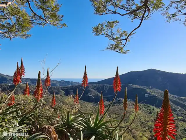 Casa El Mirador en España, Andalucía, Arenas - villa Jardín lado sur