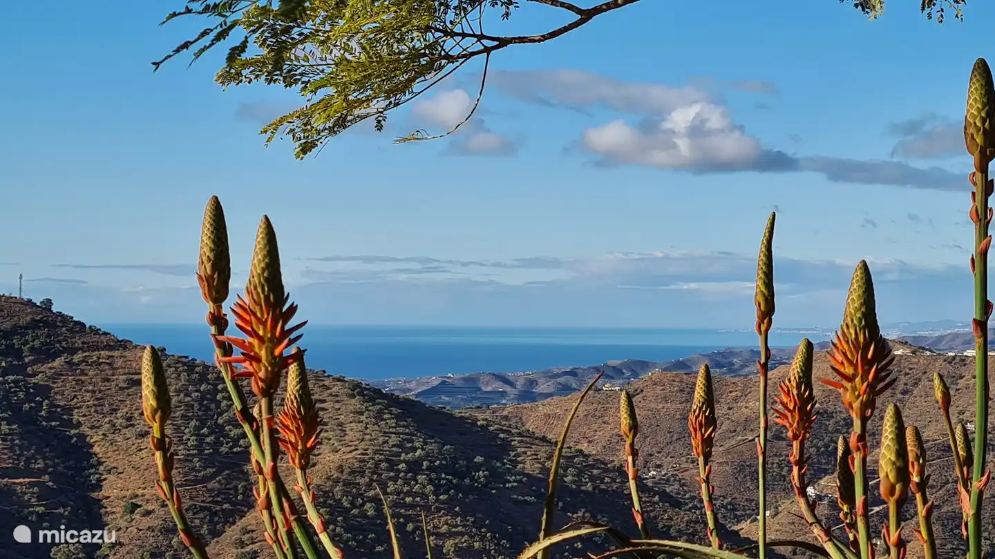 Meerblick von der Südseite des Gartens