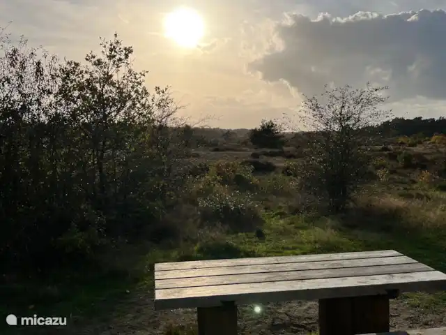 Location de Vacances Pays-Bas, Gueldre, Voorthuizen, maison de vacances - Maison Veluwe Voorthuizen Veluwe
