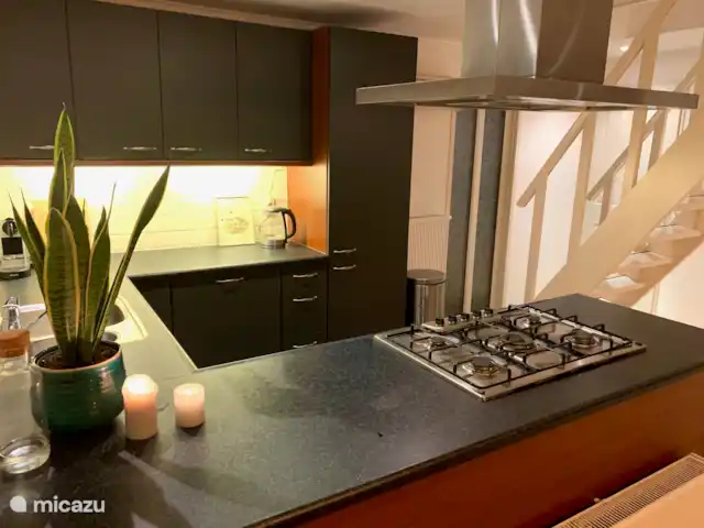 Location de Vacances Pays-Bas, Gueldre, Voorthuizen, maison de vacances - Maison Veluwe Voorthuizen cuisine