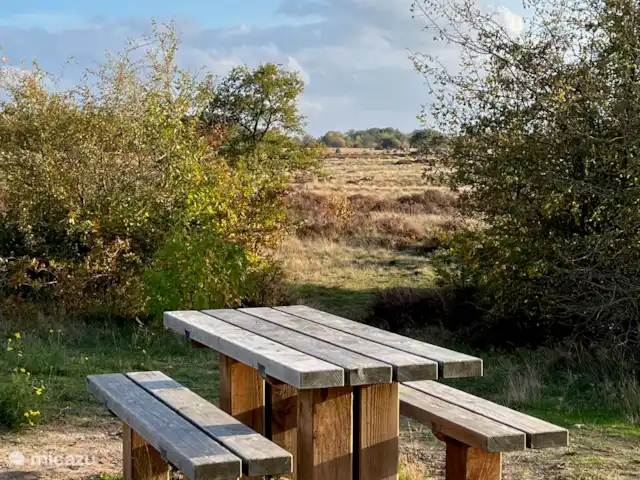 Location de Vacances Pays-Bas, Gueldre, Voorthuizen, maison de vacances - Maison Veluwe Voorthuizen Veluwe