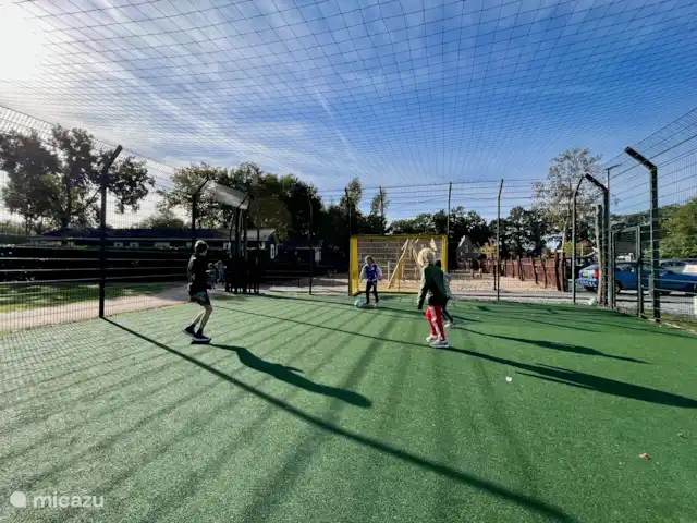 Location de Vacances Pays-Bas, Gueldre, Voorthuizen, maison de vacances - Maison Veluwe Voorthuizen Terrain de football dans le parc
