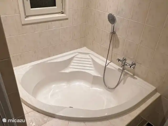 Location de Vacances Pays-Bas, Gueldre, Voorthuizen, maison de vacances - Maison Veluwe Voorthuizen bain