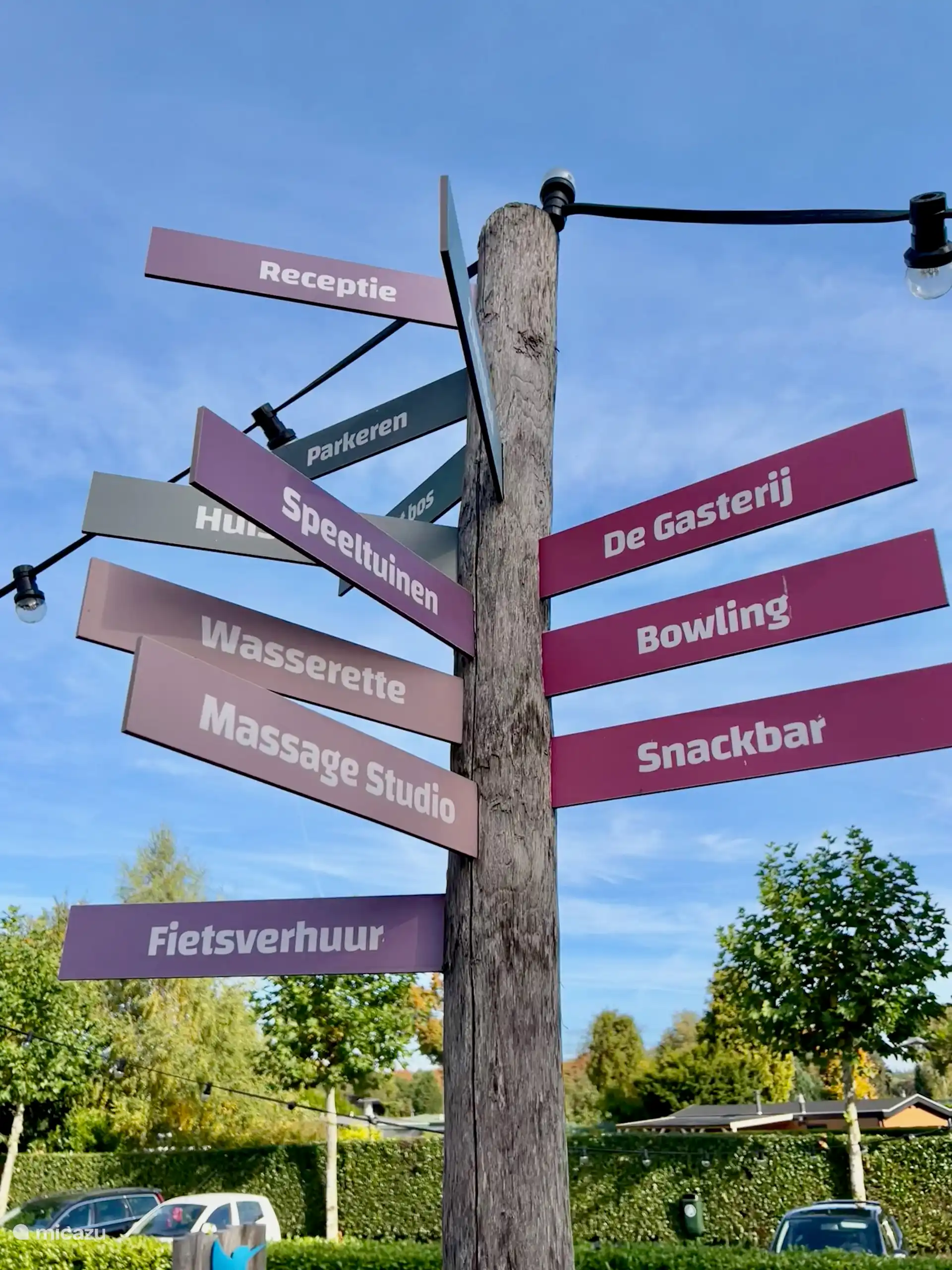 Veel activiteiten op het park