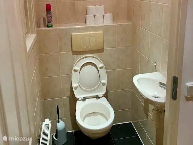 Location de Vacances Pays-Bas, Gueldre, Voorthuizen, maison de vacances - Maison Veluwe Voorthuizen toilette