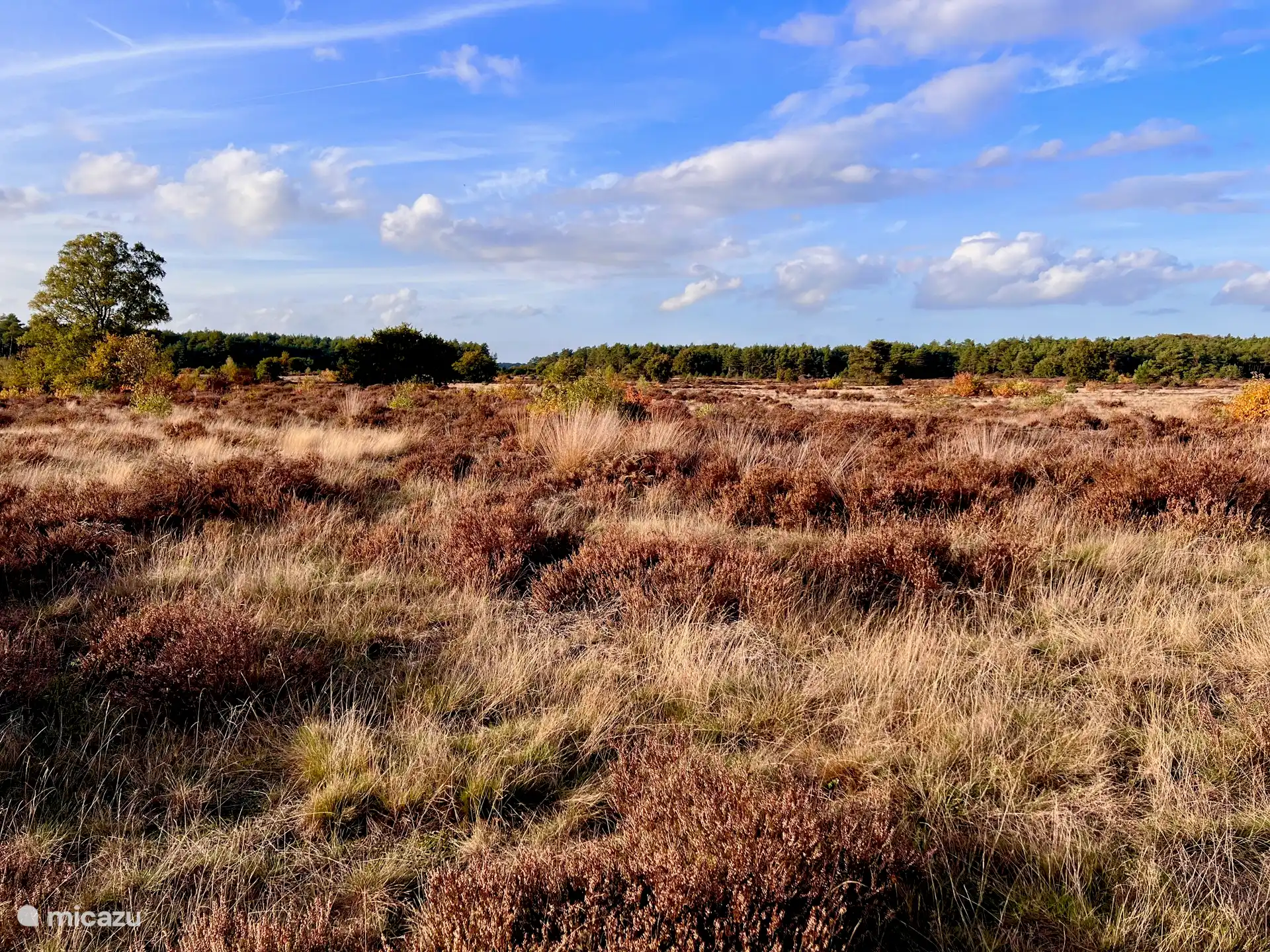 Veluwe
