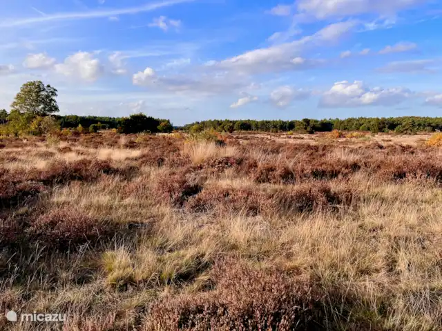Location de Vacances Pays-Bas, Gueldre, Voorthuizen, maison de vacances - Maison Veluwe Voorthuizen Veluwe
