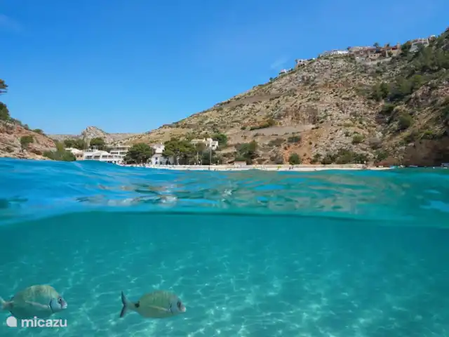 Jardines IV | Espagne, Costa Blanca, Benissa - appartement