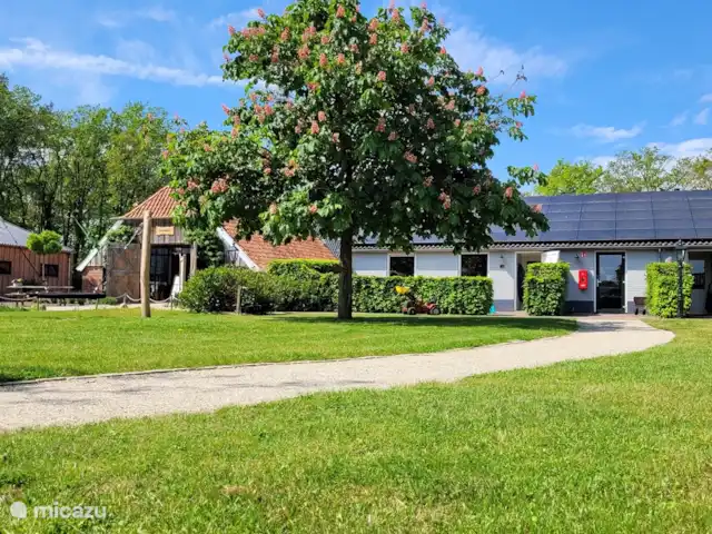 Location de Vacances Pays-Bas, Gueldre, Ruurlo, maison de vacances - Maison de vacances Achterhoek Maison de vacances Ruurlo