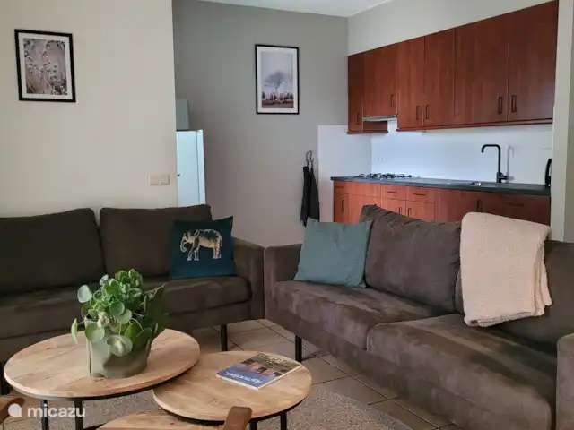 Location de Vacances Pays-Bas, Gueldre, Ruurlo, maison de vacances - Maison de vacances Achterhoek Séjour, séjour cuisine. Avec grand réfrigérateur/congélateur, lave-vaisselle, micro-ondes combiné, cafetière et bouilloire.