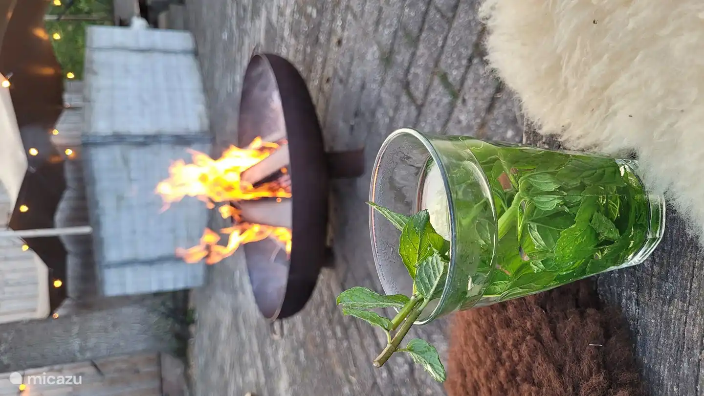 Un joli feu de camp sur la terrasse, n'hésitez pas à allumer le feu de camp vous-même.