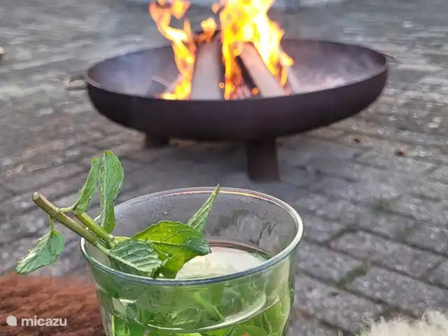 Location de Vacances Pays-Bas, Gueldre, Ruurlo, maison de vacances - Maison de vacances Achterhoek Un joli feu de camp sur la terrasse, n'hésitez pas à allumer le feu de camp vous-même.
