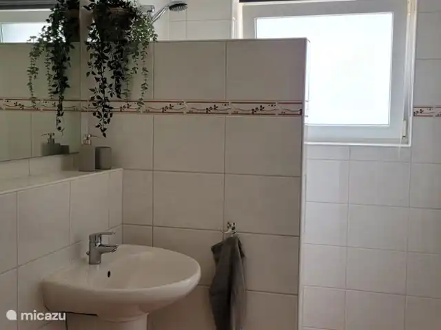 Location de Vacances Pays-Bas, Gueldre, Ruurlo, maison de vacances - Maison de vacances Achterhoek Salle de bains
