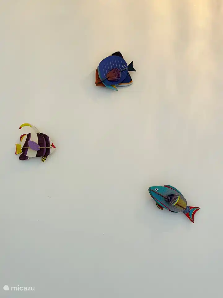 Fische zu beobachten ist großartig auf Curacao 