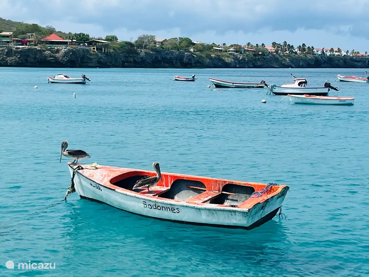 Die schönsten Bilder!