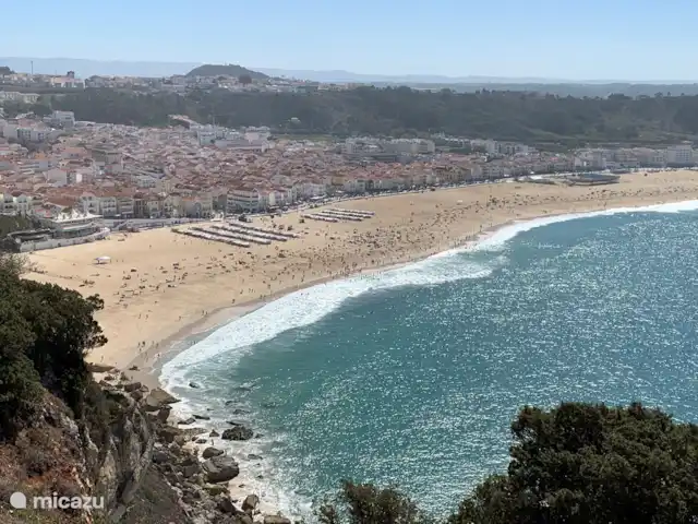 Villa Pinheiros en Portugal, Costa de Prata, Pataias - villa Nazaré de Sitio