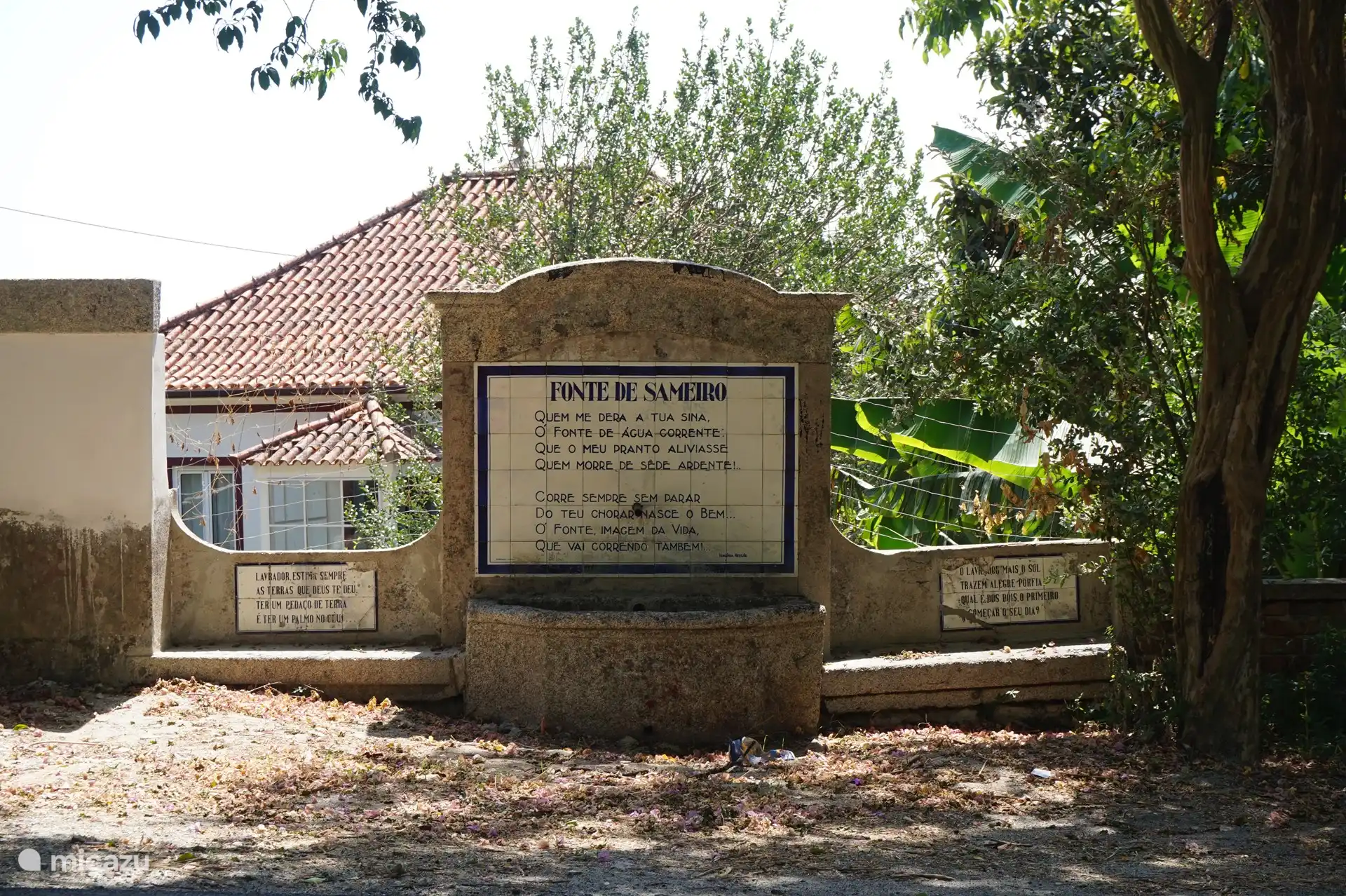 Brunnen auf der Straßenseite