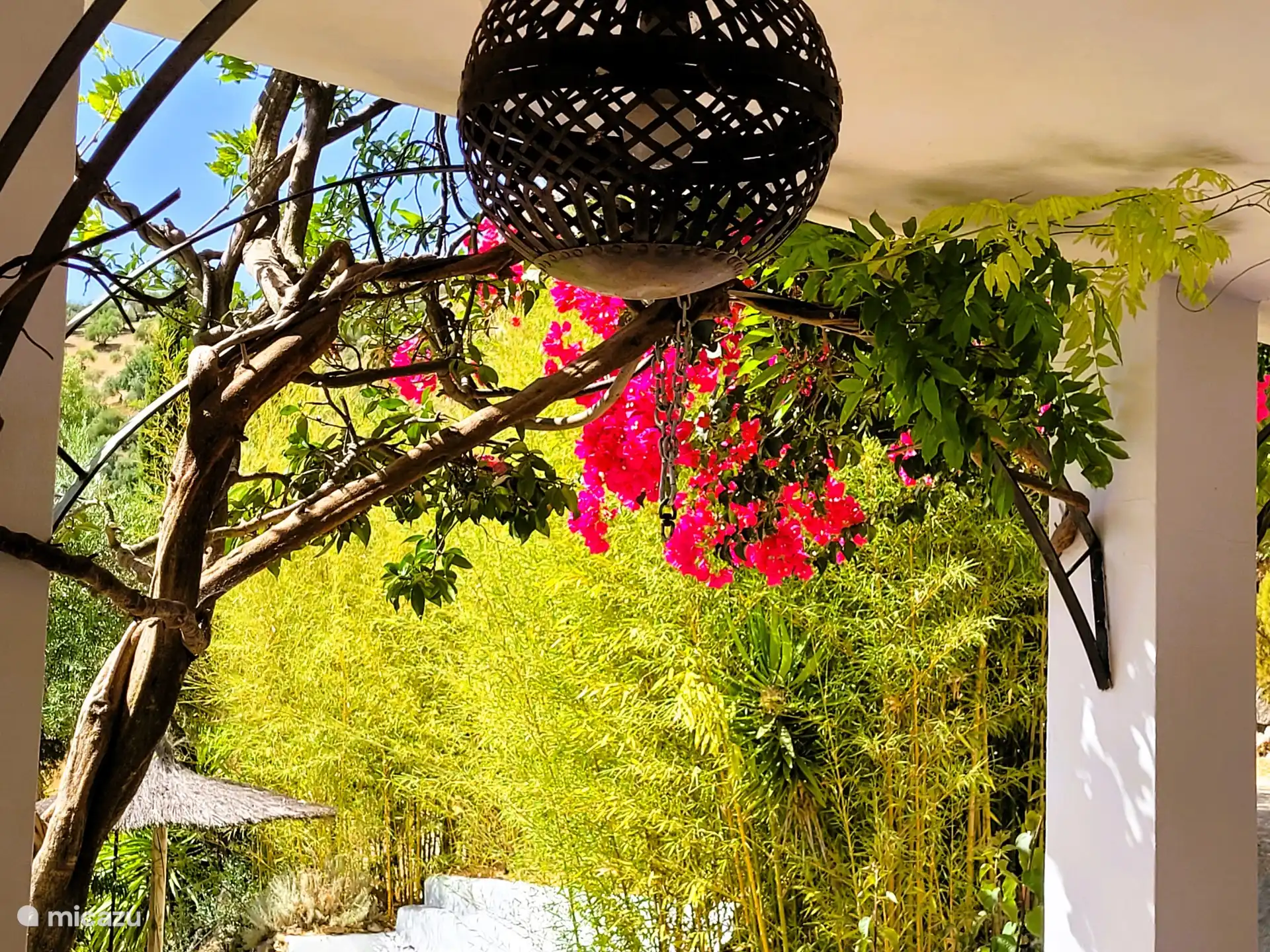 Vue depuis le porche