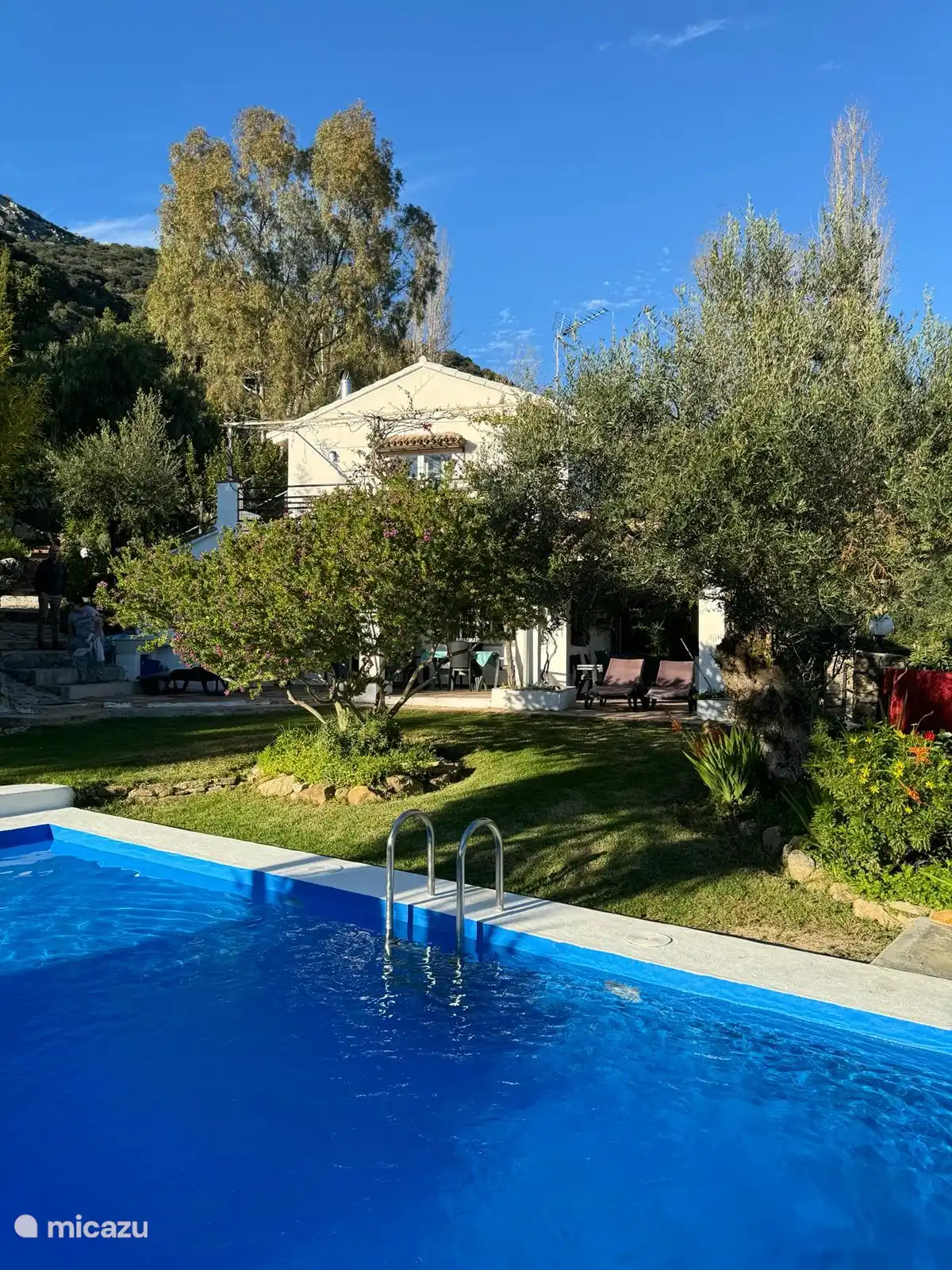 Location de Vacances Espagne, Andalousie, Cortés de la Frontera, finca - La Fontane