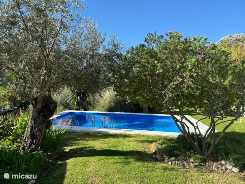 La Fontana huren in Spanje, Andalusië, Cortés de la Frontera - Finca La Fontana huren in Spanje, Andalusië, Cortés de la Frontera - Finca