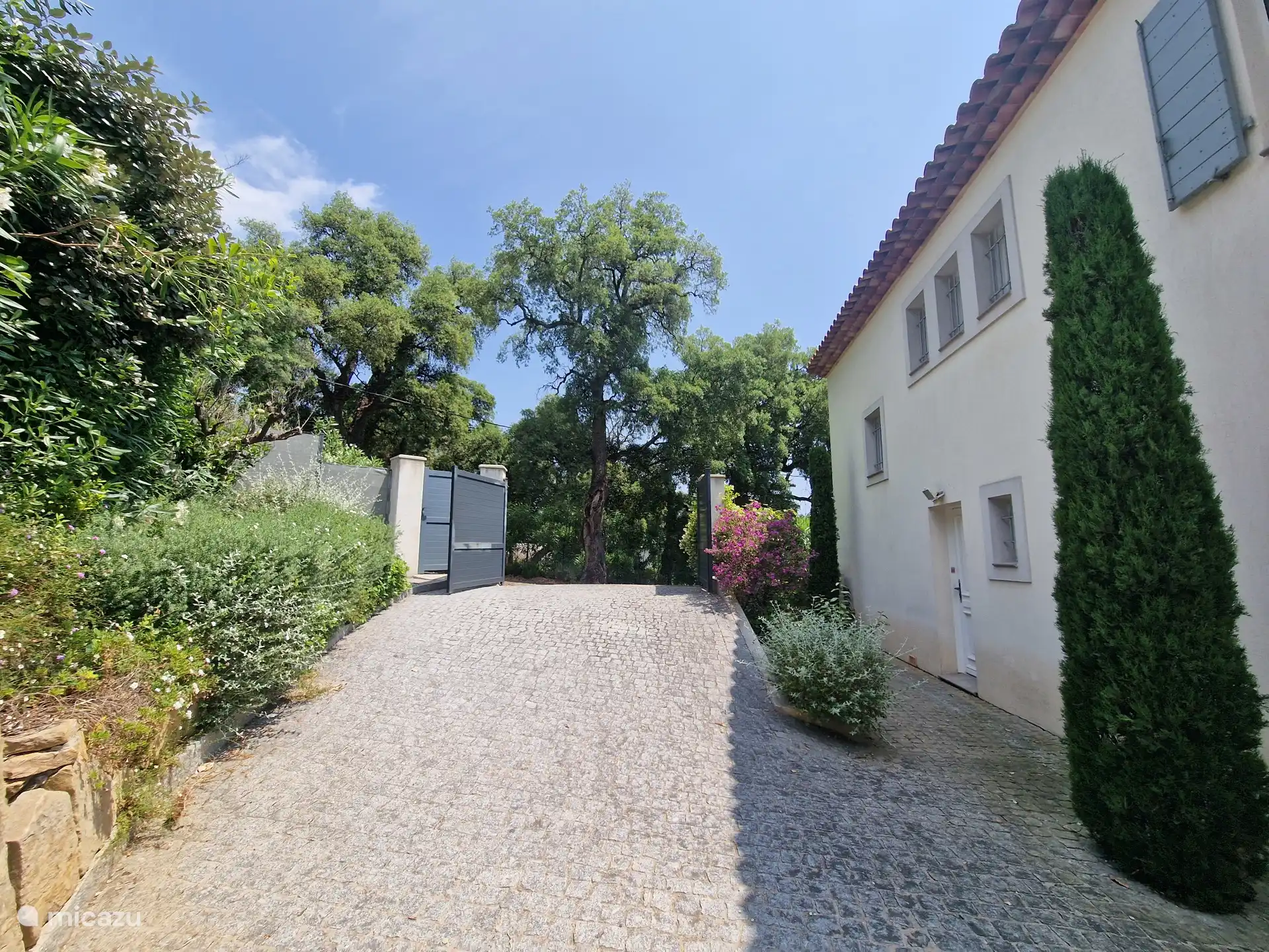 Eingang mit elektrischem Tor