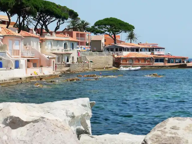 Villa Oliandre grande piscine au sel | France, Côte d'Azur, Le Plan-de-la-Tour - villa Côte