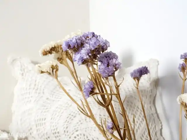 vakantiehuis huren in Italië, Apulië (Puglia), Ceglie Messapica – Suite Pasqà Eigenaardigheden