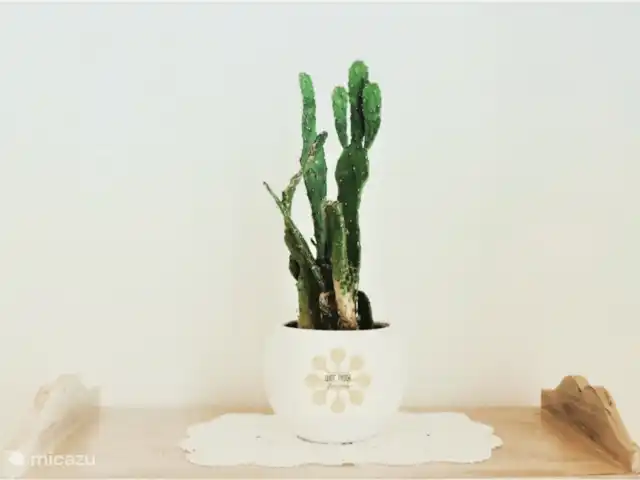 vakantiehuis huren in Italië, Apulië (Puglia), Ceglie Messapica – Suite Pasqà Ontwerp