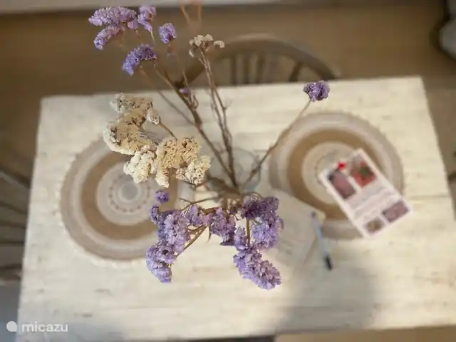 vakantiehuis huren in Italië, Apulië (Puglia), Ceglie Messapica – Suite Pasqà Eigenaardigheden