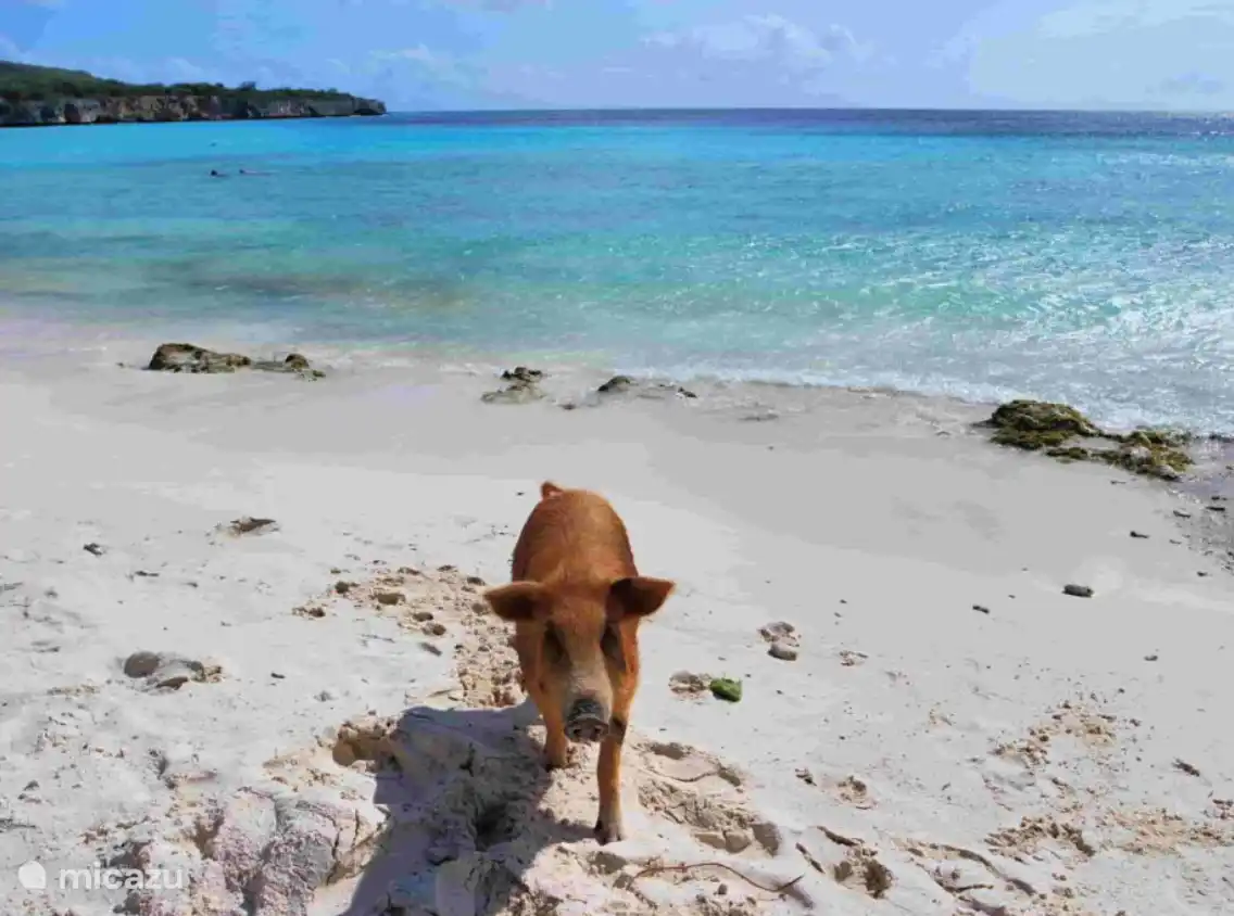 Playa Porto Marie (less than 8 minutes drive)