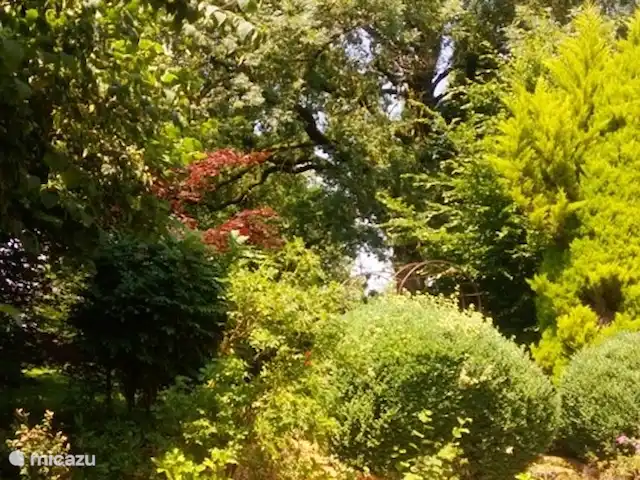 Cottage Landlust | France, Nièvre, Authiou - gîte / cottage jardin
