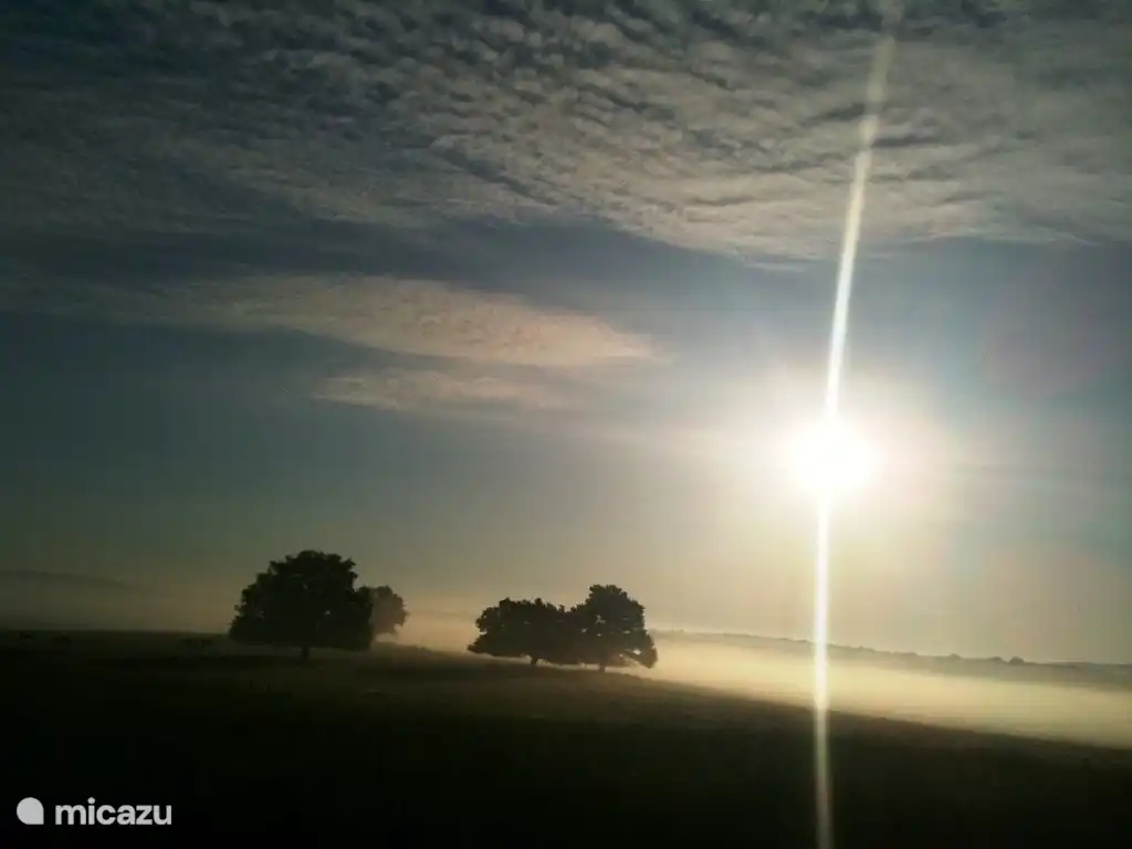 view of the valley in the early morning