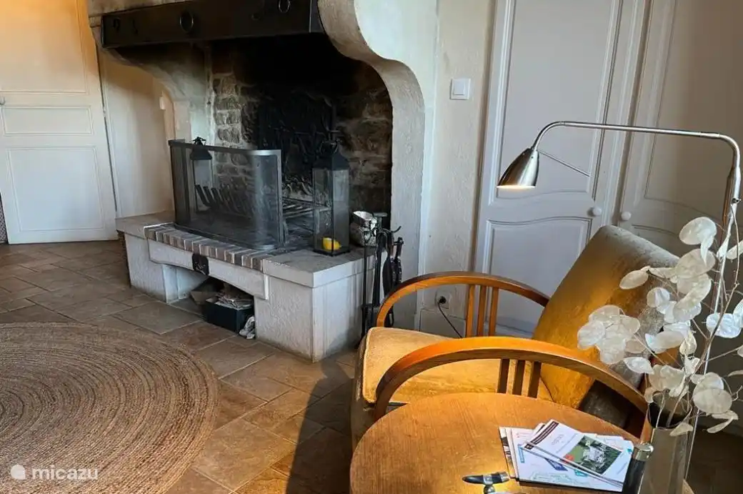 living room with chimney