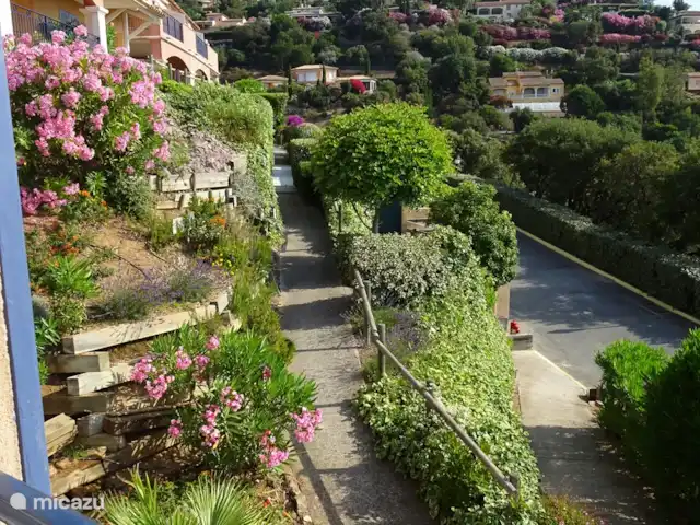 Location de Vacances France, Côte d'Azur, Sainte-Maxime, appartement - Le Grand Cap, Romarin vue de la chambre latérale