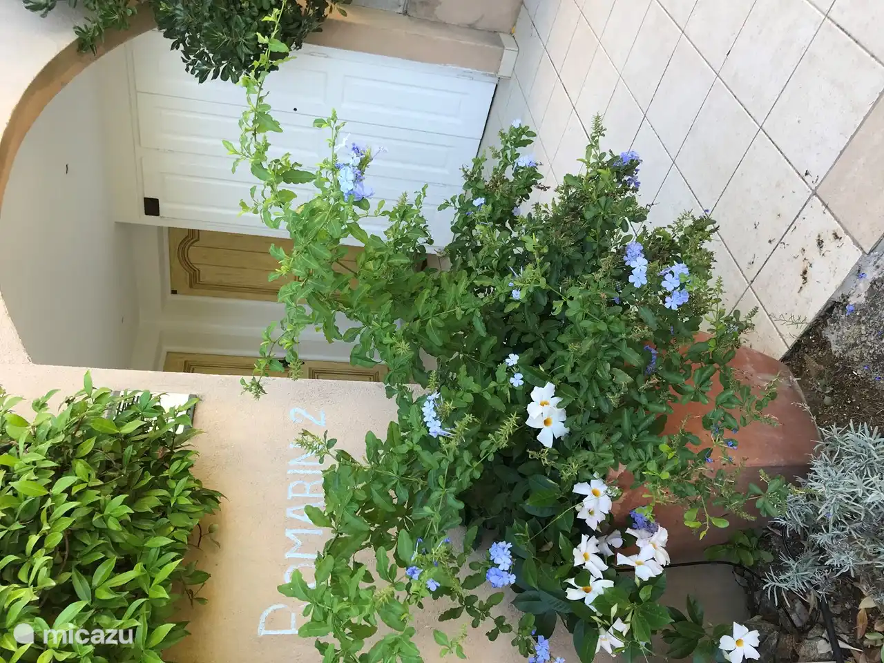 Eingang mit Haustür