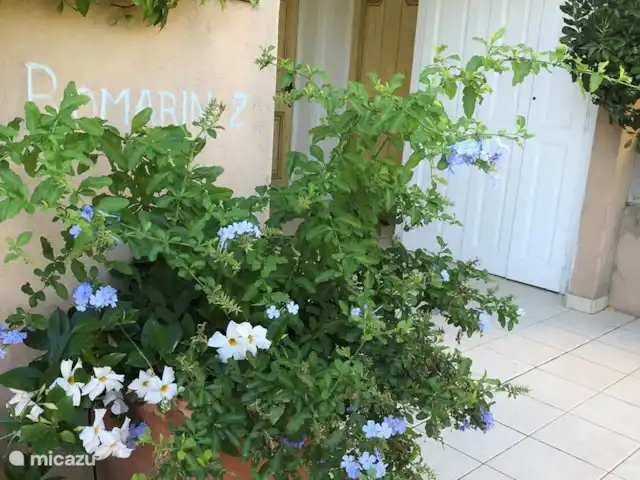 Location de Vacances France, Côte d'Azur, Sainte-Maxime, appartement - Le Grand Cap, Romarin entrée avec porte d'entrée
